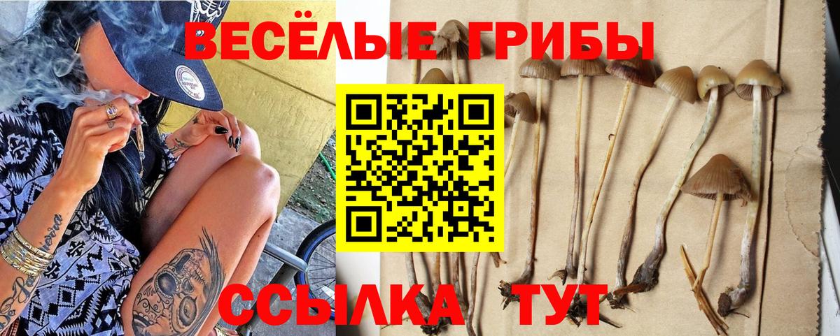 Челябинск  Галлюциногенные грибы прущие грибы  Вход с VPN 